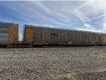 TTGX 979614